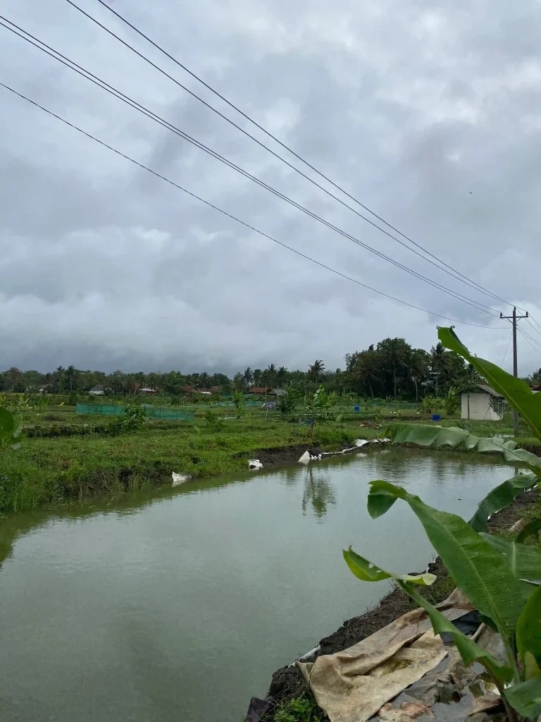 village fishpond agriculture